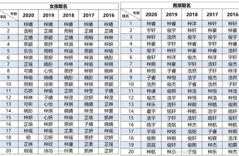 很台的名字|2024台湾热门名字排行榜 